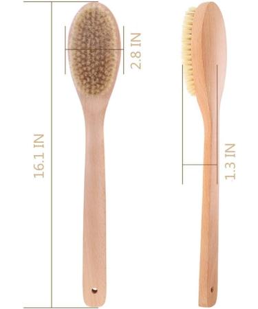 Natural Beechwood Bath Brush with Boar Bristles - Long Handled Wooden Body Brush for Spa Experience - Buy Online on GoSupps.com