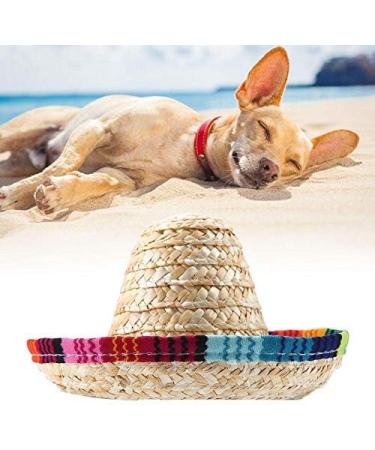 Shop Heepdd Dog Hat - Stylish Mini Straw Mexican Sombrero for Dogs & Cats | Perfect Sun Protection for Pets - Buy Online on GoSupps.com