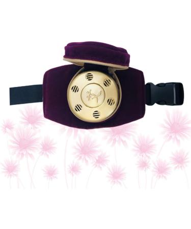 Milisten Portable Burner 1 Set Metal Bracket Metal Stand Moxibustion Box Portable Moxa Box Metal Brackets Single Box With Purple Cover - Buy Online on GoSupps.com