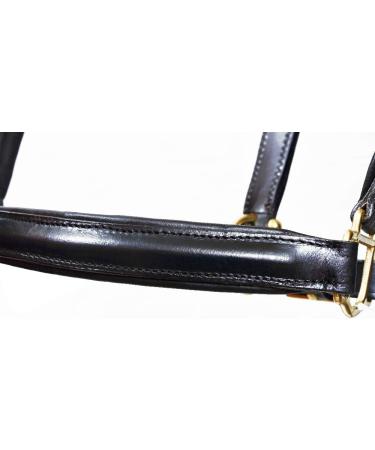 Aces Equine LEATHER HORSE HEADCOLLAR HALTER FULLY RAISED AND PADDED BLACK COLOR BRASS FITTING COB - Buy Online on GoSupps.com