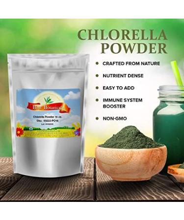 Best Botanicals Chlorella Powder 16 oz. (Organic) 16 Ounce (Pack of 1) - Buy Online on GoSupps.com