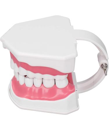 Vomeko Tooth Brushing Practice Model for Kids - Ideal Training Set with Brush - International Shipping Available - Buy Online on GoSupps.com