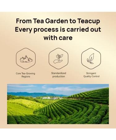 Phoenix Dancong Th Miel Orchid e | Th En Vrac | Riche En Ar me Floral | Coffret Cadeau De Th De Qualit Sup rieure - Buy Online on GoSupps.com