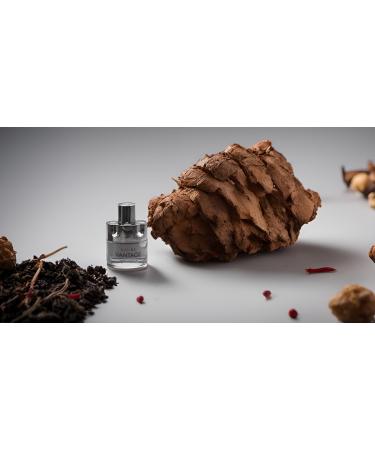 META-BOSEM Set Men's Cologne Collection Eau de Parfum Natural Spray - Woody Notes - Great for Holidays Each 3.4 Fl Oz - Buy Online on GoSupps.com