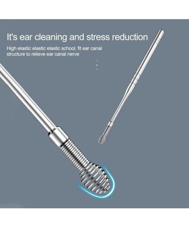 9pcs Stainless Steel Ear Picks with Carrying Case - Earwax Removal Kit for Adults & Kids - Reusable and Smooth - Perfect for Travel and Home Use (Silver) - Buy Online on GoSupps.com