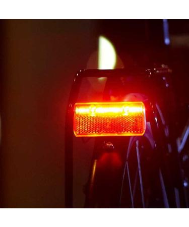 Shop Busch & M ller Unisex B&M Line Brex Rear Light - Black One Size | Fast International Shipping - Buy Online on GoSupps.com