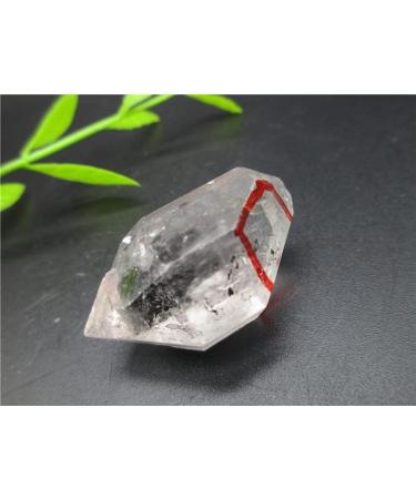 Rare! Natural Clear Quartz Water Bladder Reiki Fengshui Crystal Stones Natural Stone - Buy Online on GoSupps.com