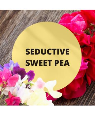 Black Canyon Seductive Sweet Pea Scented Body Spray with Jojoba Oil 1 Gal (2 Pack) - Buy Online on GoSupps.com