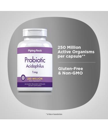 Piping Rock Probiotic Acidophilus Capsules | 250 Million CFU | 240 Pills | Dietary Supplement | Non-GMO Gluten Free - Buy Online on GoSupps.com
