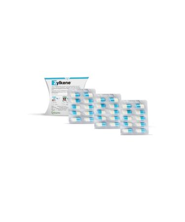 Vetoquinol Zylkene - Supplementary feed for dogs and cats up to 10kg - 30 capsules - Buy Online on GoSupps.com