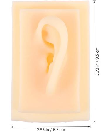 Baluue Ear Model Display - Acupoint Learning Tool & Ear Cleaning Practice Props - Ideal for Hearing Aid & Earplug Simulation - Buy Online on GoSupps.com
