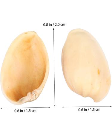 NUOBESTY Pistachios 1 Pistachio Shell Craft for Kids Crafts Supplies for Kids Handmade Supplies Turkey Child Natural As Shown 2X1.2CM - Buy Online on GoSupps.com