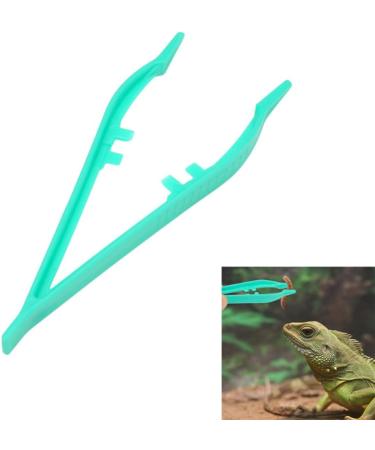 TOYANDONA 40 Pcs Feeding Clamp Reptile Feeding Clip Tree Frog - Buy Online on GoSupps.com