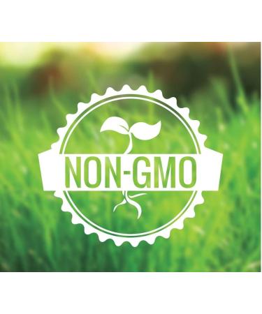 GC GoutCare 6 Bottle Pack- Uric Acid Management and Joint Support Featuring Turmeric Garlic Milk Thistle and More - (90 Capsules in Each Bottle x 6) - Buy Online on GoSupps.com