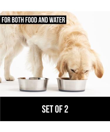 Gorilla Grip Stainless Steel Dog Bowl Set of 2 - Heavy Duty, Rust Resistant, BPA Free - Non-Slip Rubber Base - Quiet Pet Bowls for Cats and Dogs - 3 Cup Gray - Buy Online on GoSupps.com
