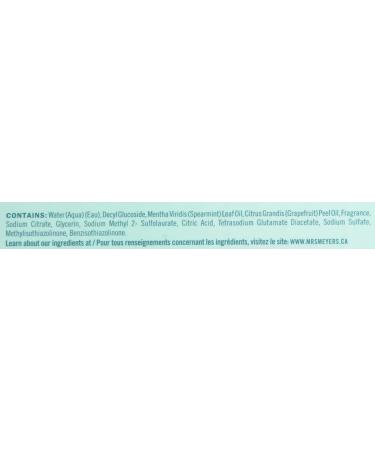 MRS MEYER'S Mint Multi Surface Cleaner 473 ML | Eco-Friendly & Effective | International Shipping Available - Buy Online on GoSupps.com