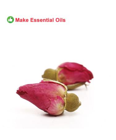 Buy Natural Herbal Pink Rose Bud Tea - 50g | Fragrant Flower Tea for Health & Beauty | International Shipping - Buy Online on GoSupps.com