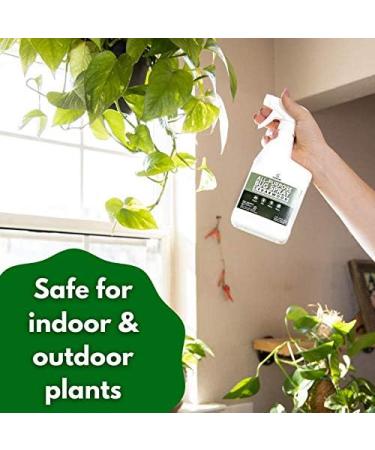 Cedarcide All-Purpose Bug Spray (Cedarwood 16 Fl Oz) - Kill, Repel & Control Mosquitos, Fleas, Ticks, Ants & Insects - Safe for People, Pets & Kids - Buy Online on GoSupps.com