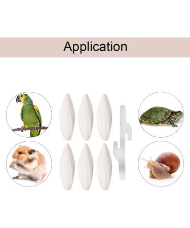 Large Sepia Bowls for Birds Turtles and Snails - Set of 6 | Ideal for Reptiles - Buy Online on GoSupps.com