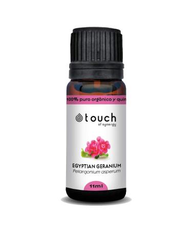 Egyptian Geranium Oil (Pelargonium Asperum) 100% Pure Organic and Chemotherapeutic Oil (10 ml)...