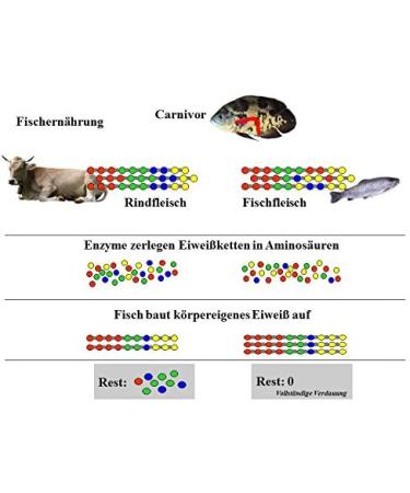 JBL NovoDaph 30700 - Naturally Dried Water Fleas Treats for Aquarium Fish | 100 ml | International Shipping Available - Buy Online on GoSupps.com