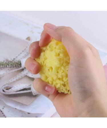 DOITOOL Bath Sponge Foam Loofah Sponge Seaweed Sponge Honeycomb Wash Face Sponge Cotton Shower Supplies Softly Rough but Not Skin Irritating Lathers & Washes Really Well - Buy Online on GoSupps.com