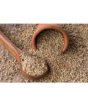 Ikshvaku Pearl Millet | Bajra - Premium Quality Whole Grains for a Healthy Diet - Buy Online on GoSupps.com
