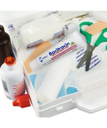 (4 Pack) Globe Bacitracin Zinc Ointment + Aloe 1oz | Antibiotic First Aid Supplies | Maximum Healing Power | Prevents Infection in Cuts, Scrapes & Burns - Buy Online on GoSupps.com