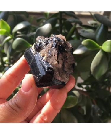 Natural Crystal Rough 1pcs Natural Black tourmarine and Crystal Specimen Reiki Healing Crystals Rough Gemstone for Home Decoration - Buy Online on GoSupps.com