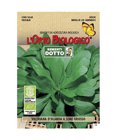 Valerian plant seeds, 2 envelopes Maxi line, Mondonatura