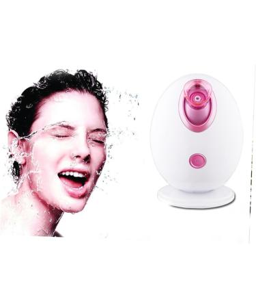 DRESSOOS 1pc Face Humifigier Steamer for Face Hair Steamer Portable Humidifiers White and Face Steamer - Buy Online on GoSupps.com