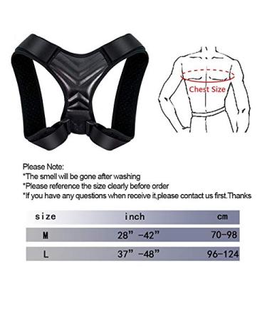 Posture Corrector Adjustable Clavicle Brace for Men & Women - Upper Back & Lumbar Support - Medium Size - Buy Online on GoSupps.com