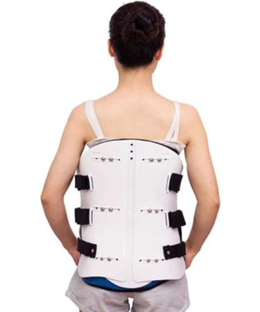 Neck Support Collar & Lumbar Orthosis Brace - Breathable Humpback Support for Neck & Shoulder Pain Relief | Family Approved (Color: B) - Buy Online on GoSupps.com