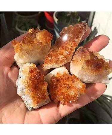 CIMWJOPS 1pc Rough raw Stone Natural Yellow Citrine Quartz Crystal Cluster for - Buy Online on GoSupps.com