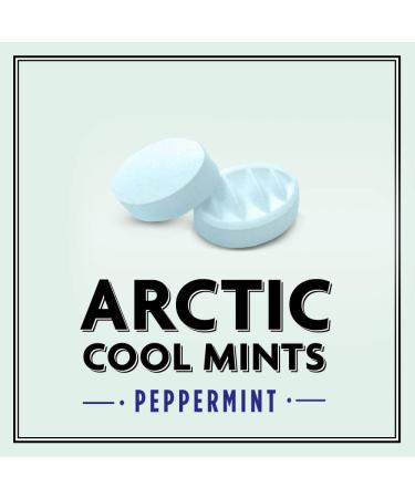 ALTOIDS Arctic Peppermint Mints 1.2oz Tin - Pack of 8 | Refreshing Mint Candy - Buy Online on GoSupps.com