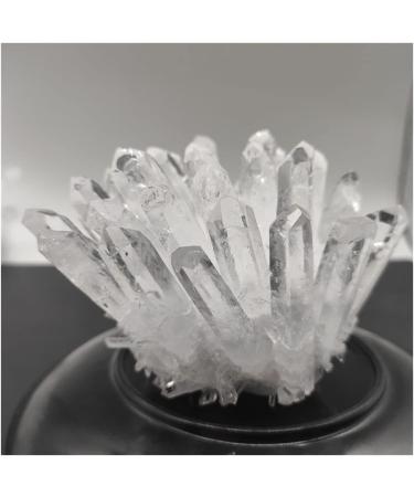 1pcs Natural White Crystal Cluster Quartz Crystal Health Reiki Stones Crystal Point Specimen Home Decoration Raw Crysta Crystal Cluster 800-900g - Buy Online on GoSupps.com