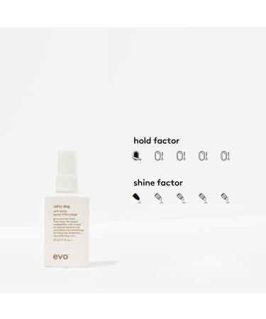 EVO Salty Dog Salt Spray - Hair Texture & Volume Spray - Beach Textured Hair Natural Matte Finish - Travel Size 50ml / 1.7fl.oz - Buy Online on GoSupps.com