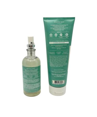 Bath & Body Works Aromatherapy Breathe Deep Eucalyptus & Lavender Gift Set - Holiday Essential Oil Mist & Body Cream with Red Bow - Perfect for Gifts - Buy Online on GoSupps.com