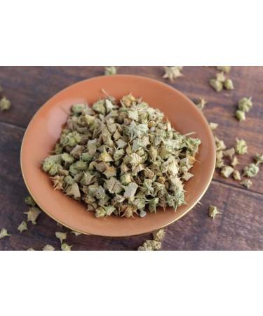 Tribulus Terrestris whole 100g organic Gokhur Punctur vine Gokharu Land Caltrops Bethu Bhakhra Bullhead Burnut Burra gookeron Calthrop Bhakra