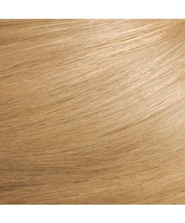 Revlon Colorsilk Ammonia Free 74 Medium Blond - Buy Online on GoSupps.com