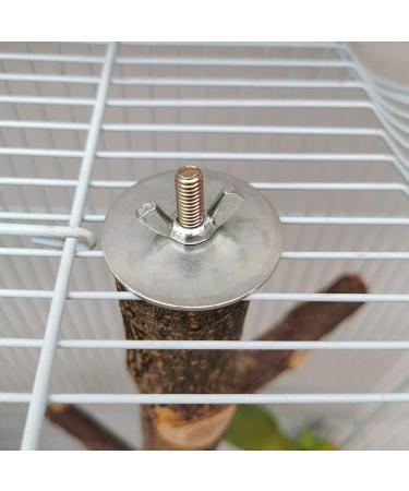 Qeeheng Natural Wood Bird Stand - Parrot Rods for Parrots Lovebirds & Finches | Perfect for Bird Cages & Small Parlors - Buy Online on GoSupps.com