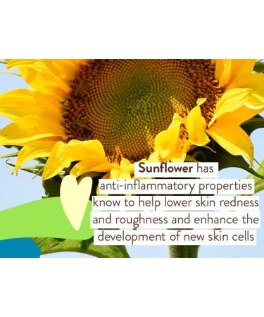 Babo Botanicals Clear Zinc Sunscreen Lotion SPF 30 - 100% Mineral Actives, Non-Greasy, Water-Resistant, Fragrance-Free, Vegan - 3 Fl Oz (Pack of 2) - Buy Online on GoSupps.com