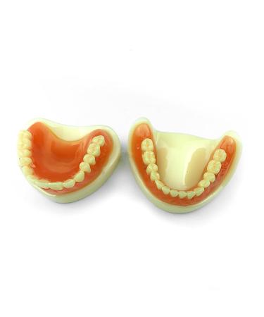 Qqbaihuo teeth removable simulation toothbrush model prosthesis model teaching teaching to men and women use caries and missing teeth 6pair