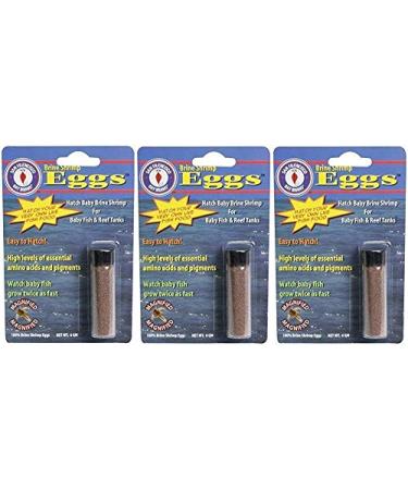 San Francisco Bay Brand 3 Pack of Brine Shrimp Eggs Vial for Baby Fish and Reef Tanks 6 Grams Per Vial