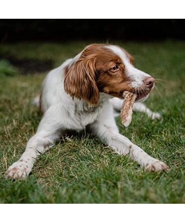 Loyalty Dog Treats Rabbit Feet Fully Natural Single Ingredient Canadian Dehydrated Dog Treat (150g) 30 g (Pack of 5) Dog Treats - Buy Online on GoSupps.com