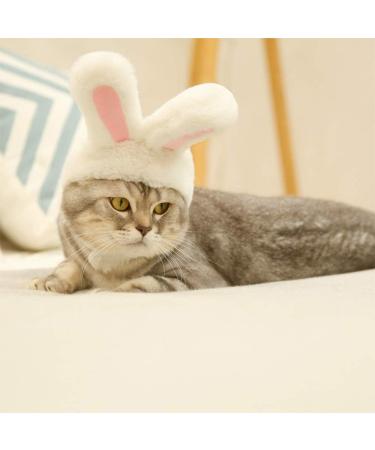 DIYDEC Cute Costume Bunny Rabbit Hat with Ears for Cats & Small Dogs Party Costume Easter Accessory Headwear(Pet Toys) grey - Buy Online on GoSupps.com