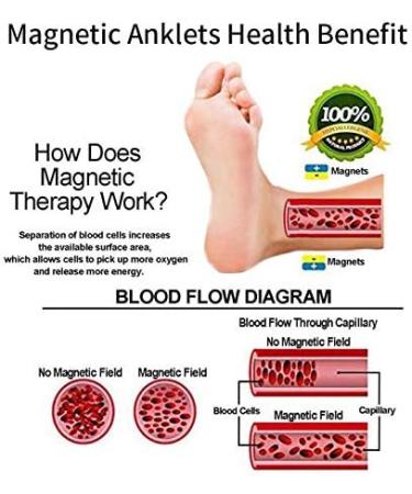 Yino TAC-0088S Titanium Anklets for Women - Pain Relief Magnetic Bracelets 24cm/8mm - Enhance Wellness & Style - Buy Online on GoSupps.com