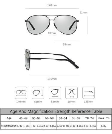 Riccie Intelligent Varifocal Glasses - Photochromic Presbyopia Sunglasses with Metal Frame | Outdoor Anti-Reflection +1.0 - Buy Online on GoSupps.com