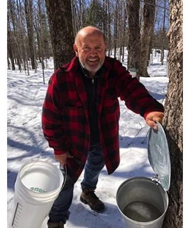 Maple syrup in 1 liter jug - Amber - Direct producer - 100% pure from Canada - Les Tr sors d'maple - Authentic and 100% natur - Buy Online on GoSupps.com