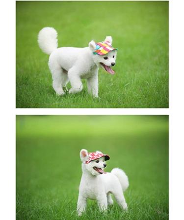 EGURS Baseball Hats for Dogs & Cats - Peace Sunbonnet for Small Medium & Large Pets - Stylish & Comfortable House Hout - Blue - Buy Online on GoSupps.com